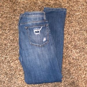 DayTrip 28r Virgo straight